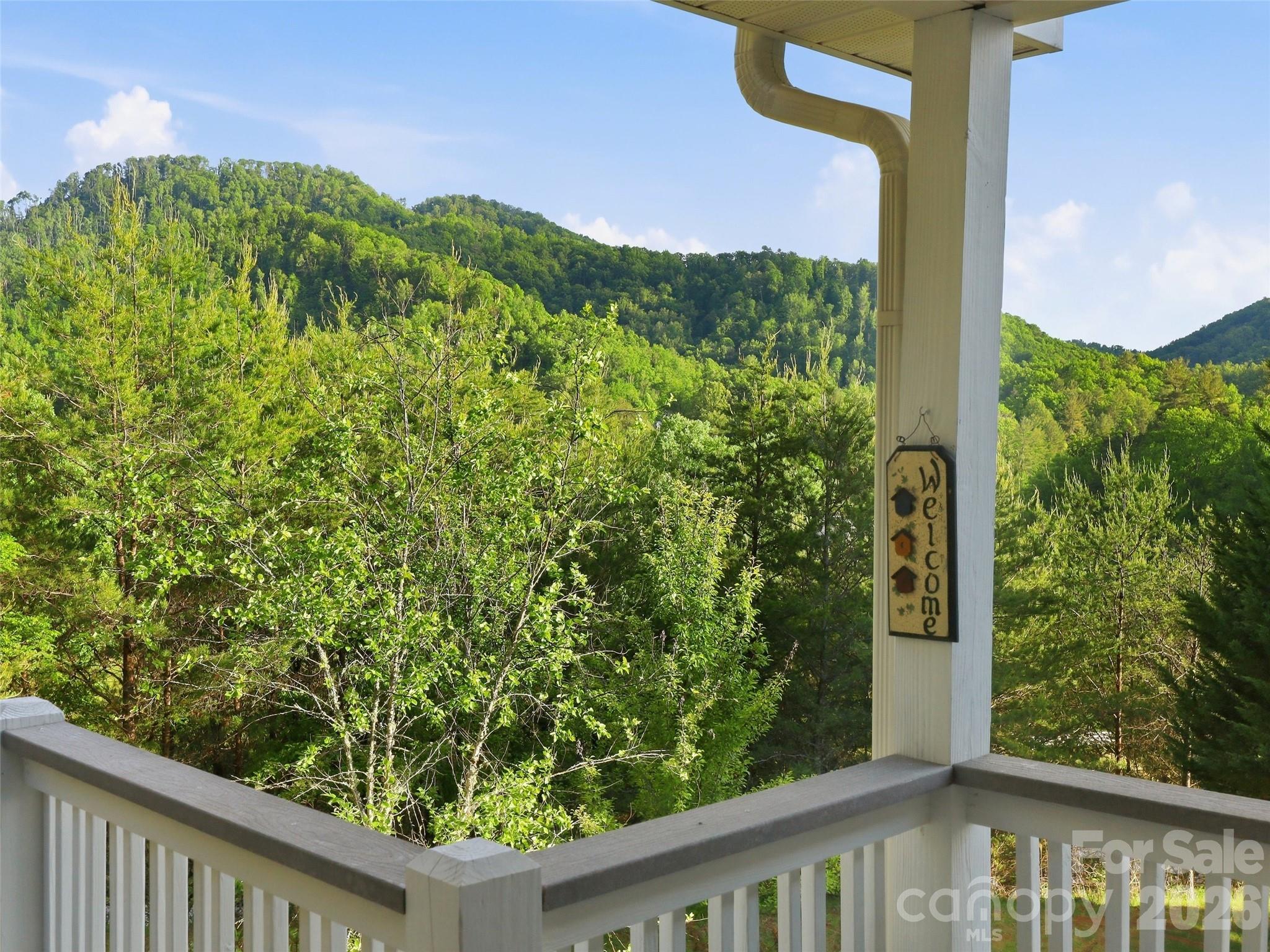 16 Lancaster Lane Weaverville NC 28787