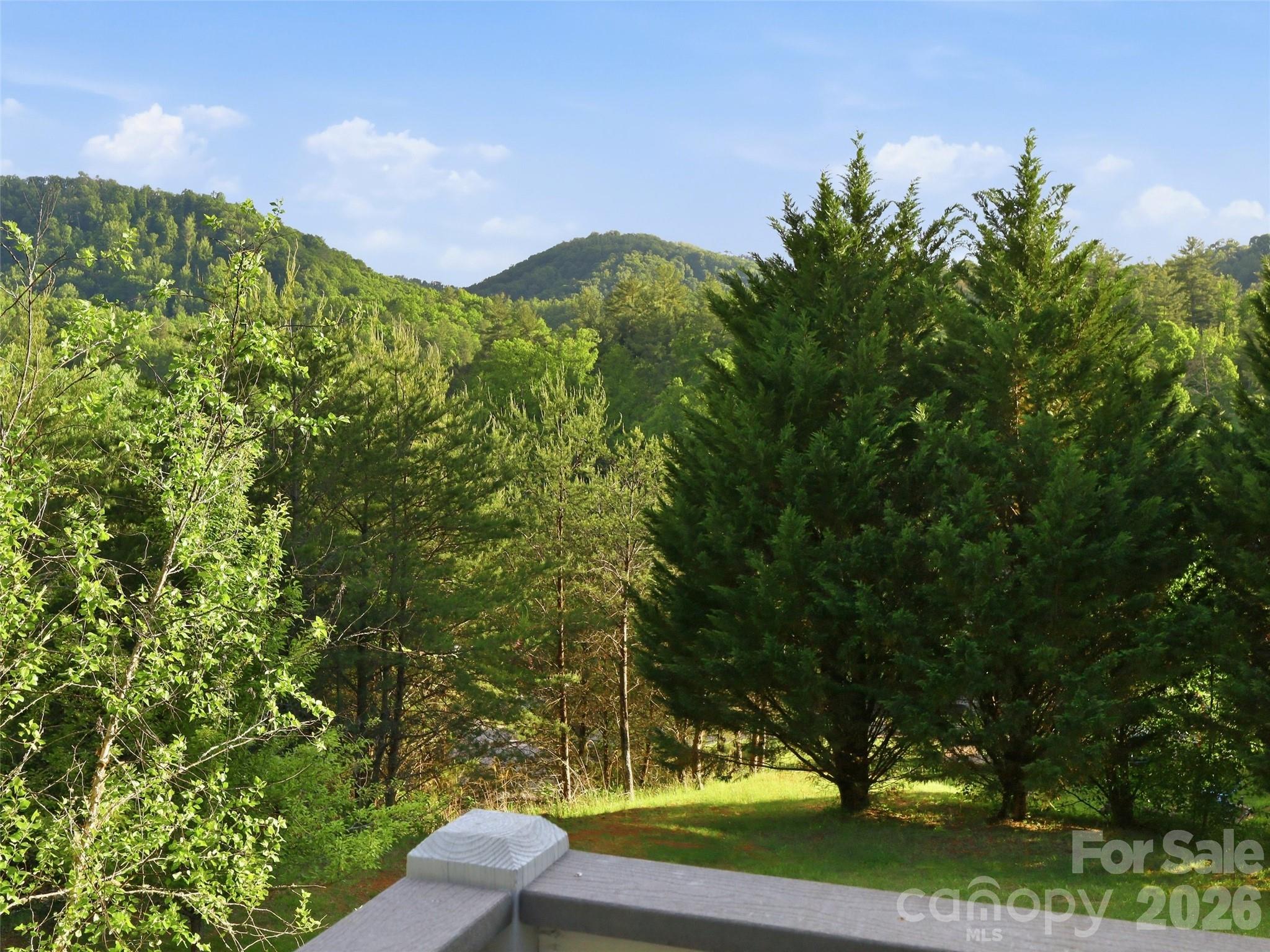 16 Lancaster Lane Weaverville NC 28787