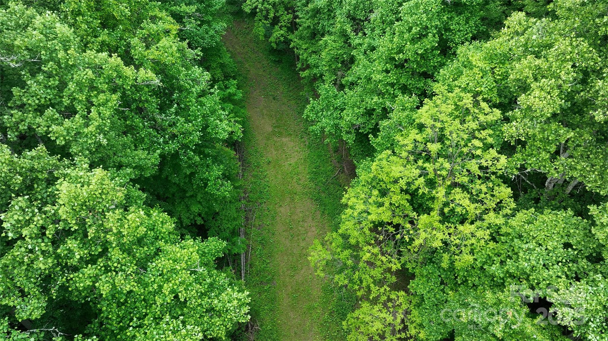 320 Board Tree Road Marshall NC 28753