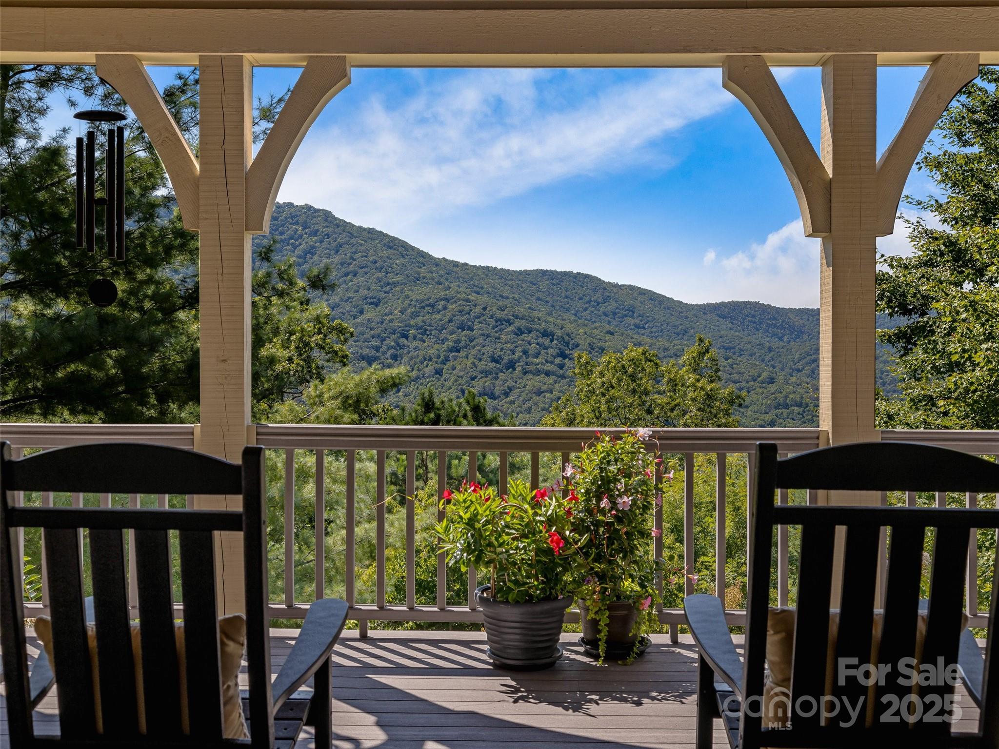 6 Yellow Wood Lane Horse Shoe NC 28742