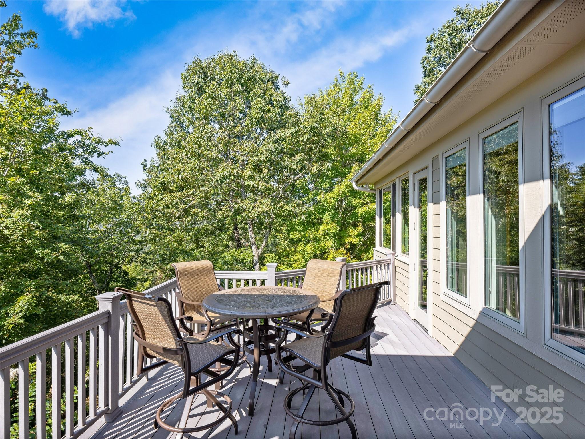6 Yellow Wood Lane Horse Shoe NC 28742