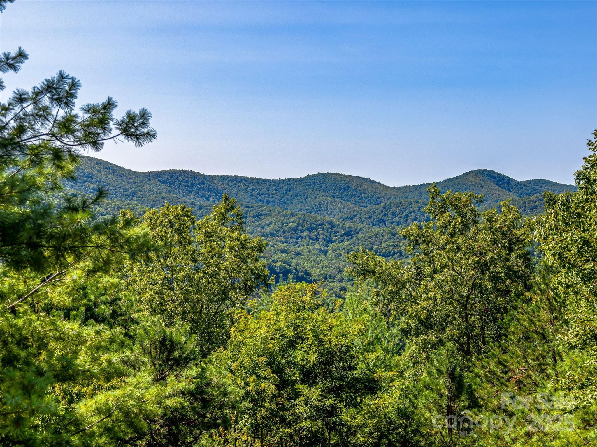 6 Yellow Wood Lane Horse Shoe NC 28742