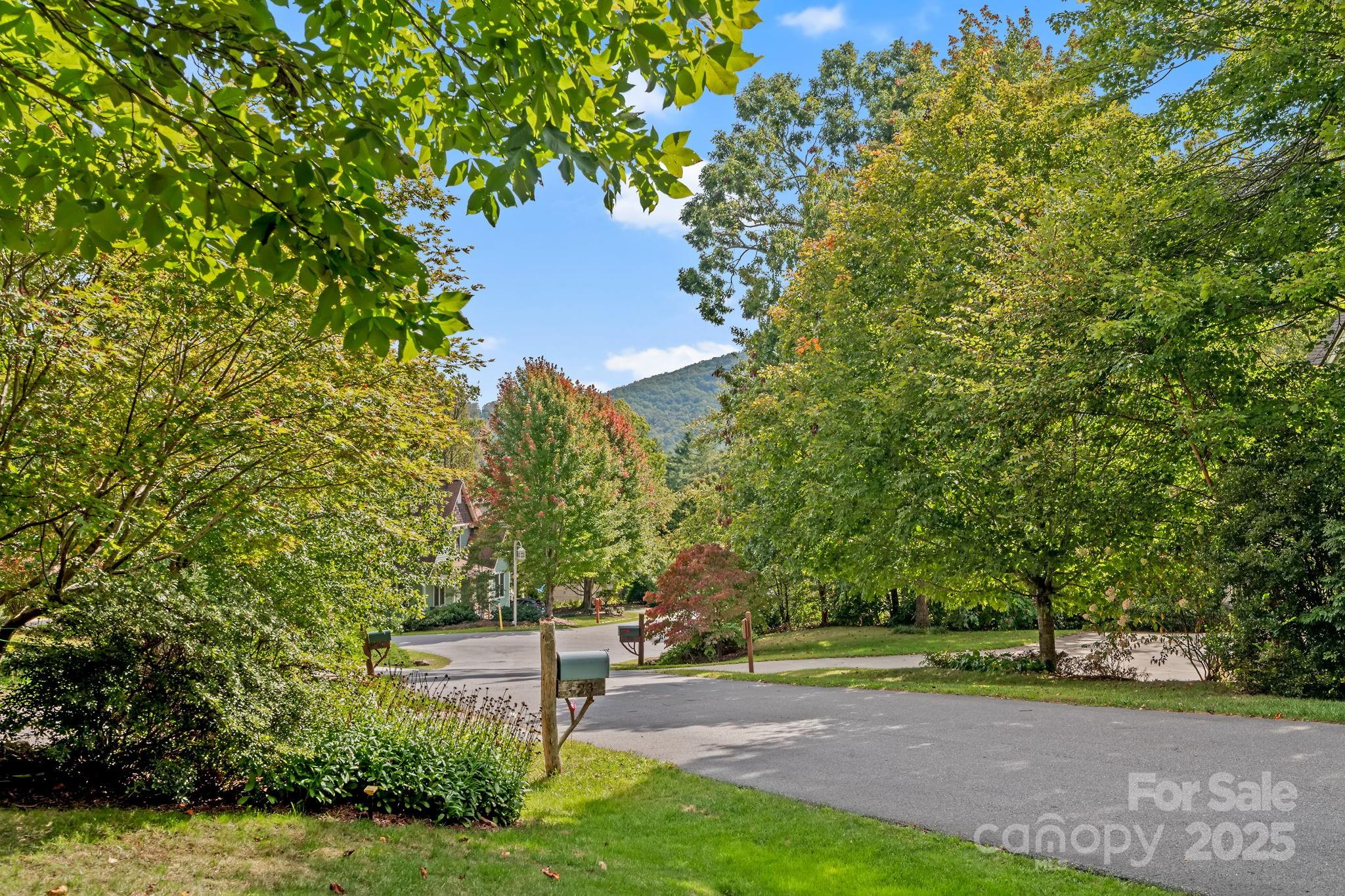 25 E Owl Creek Lane Fairview NC 28730