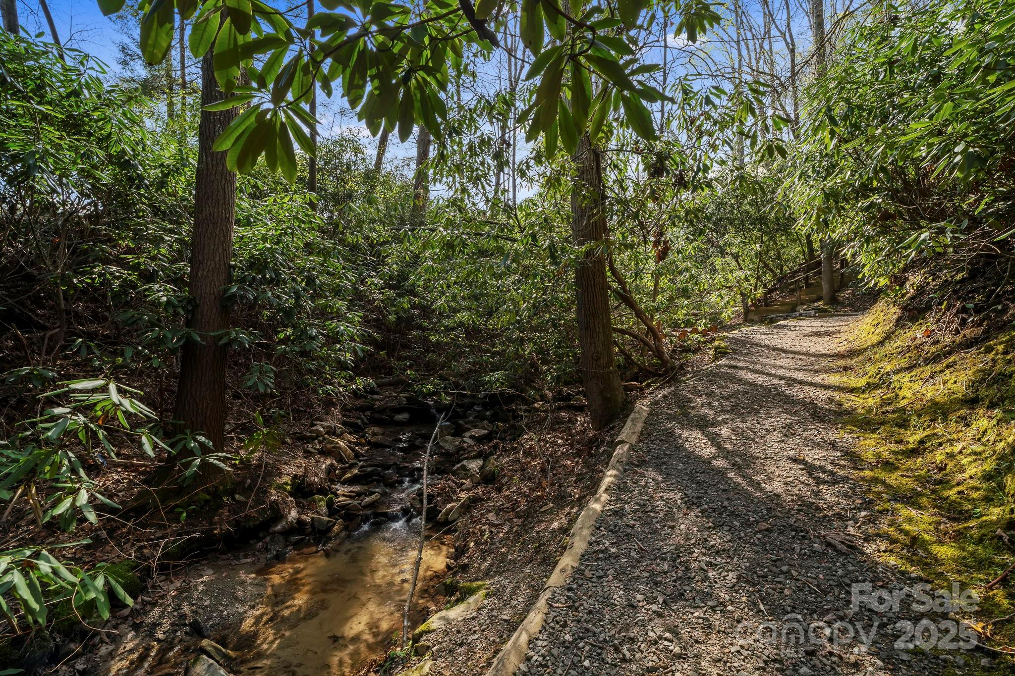 25 E Owl Creek Lane Fairview NC 28730