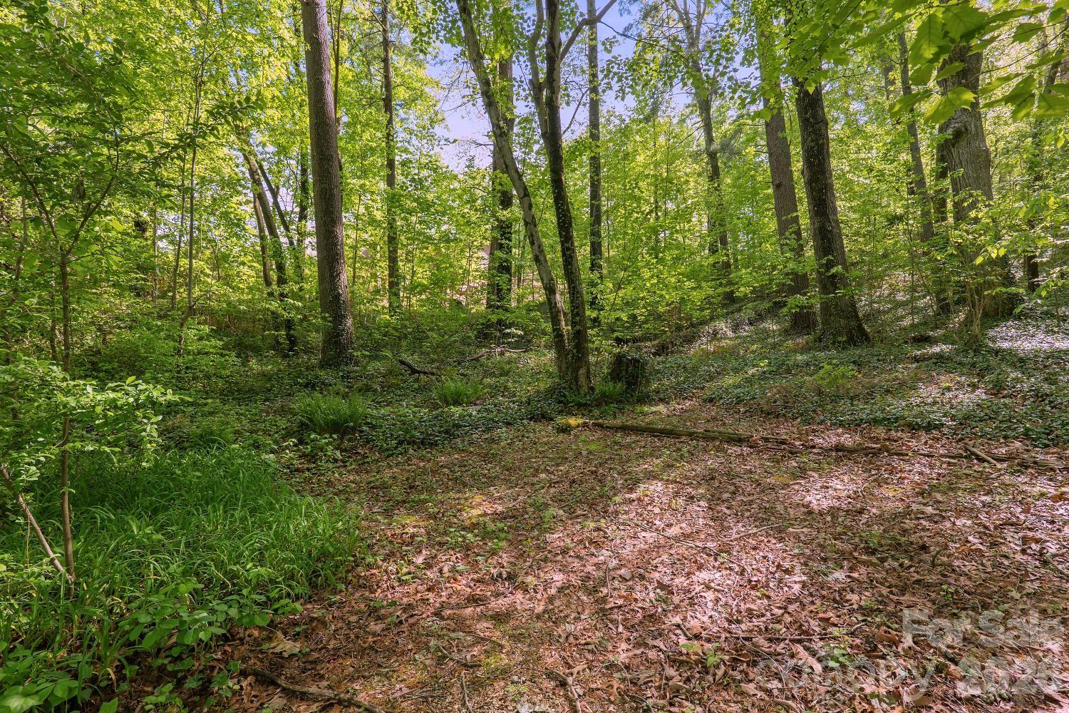 98 Skyline Drive Hendersonville NC 28791