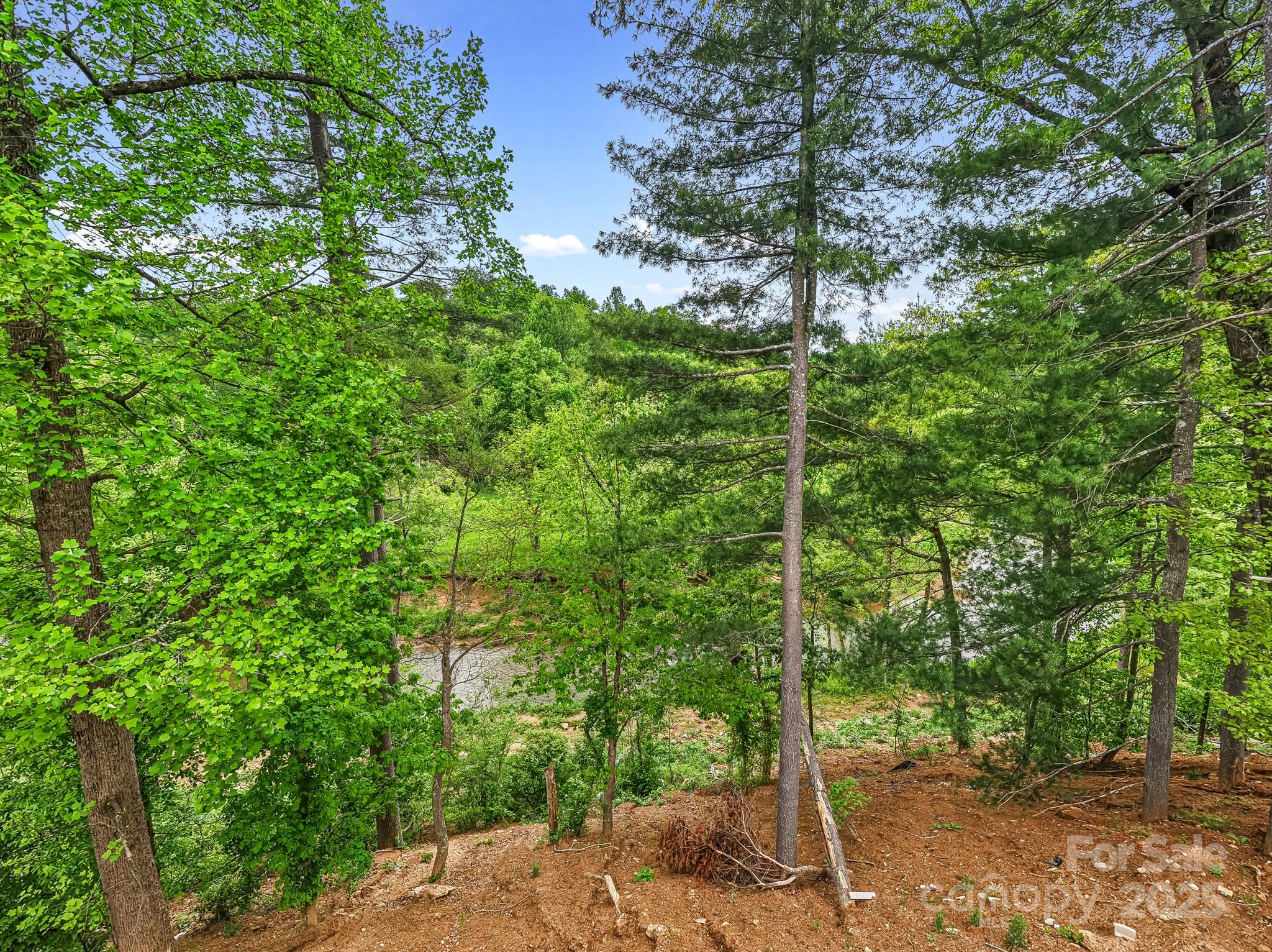 920 Newport Court Asheville NC 28806