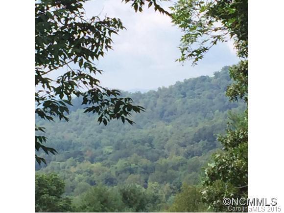 334 E. Sondley Drive Asheville NC 28805