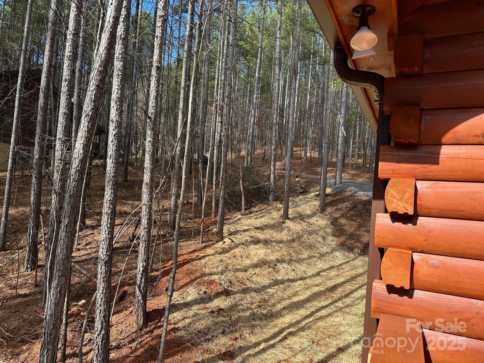 132 Chasewood Drive Rutherfordton NC 28139