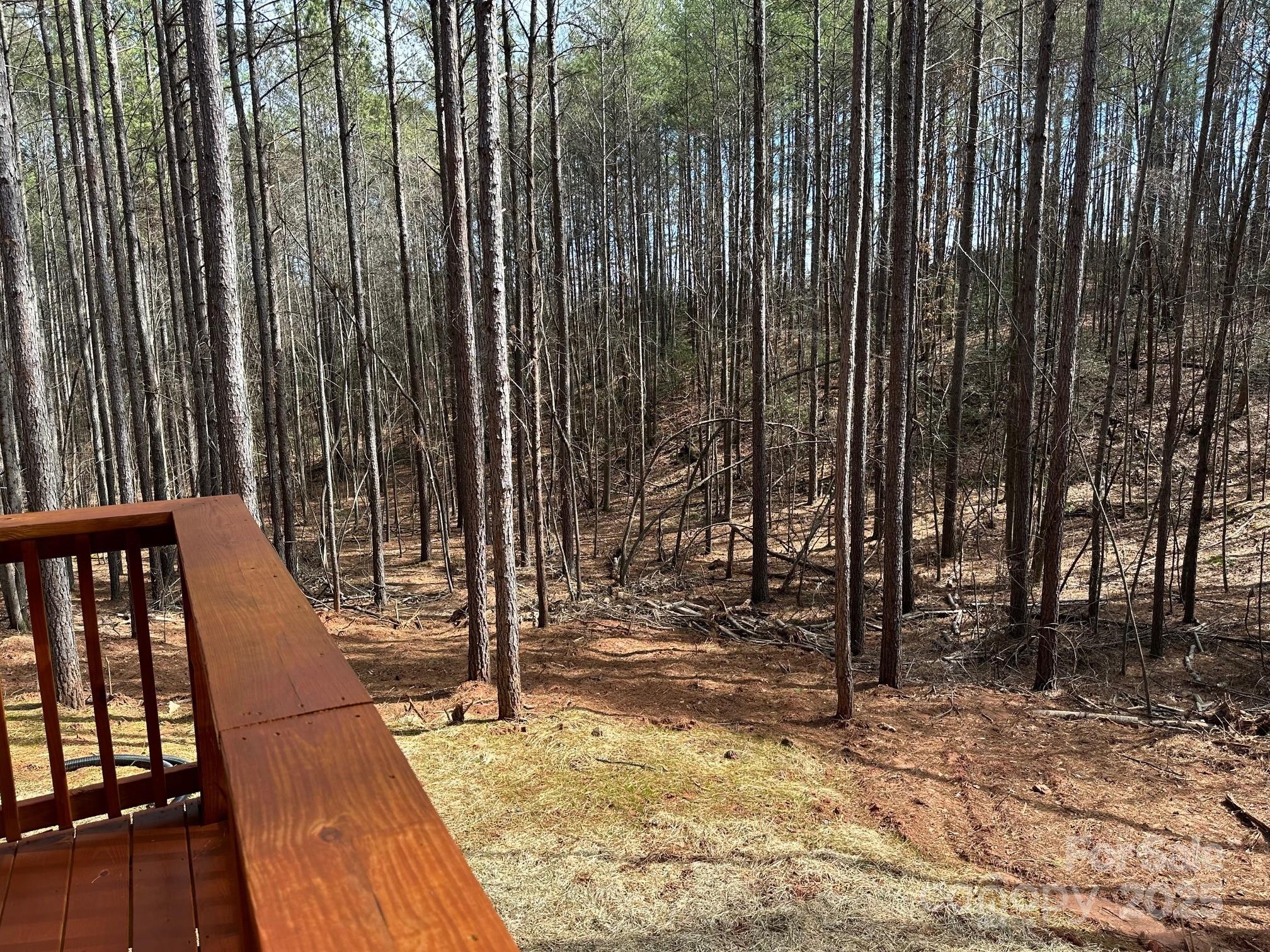 132 Chasewood Drive Rutherfordton NC 28139