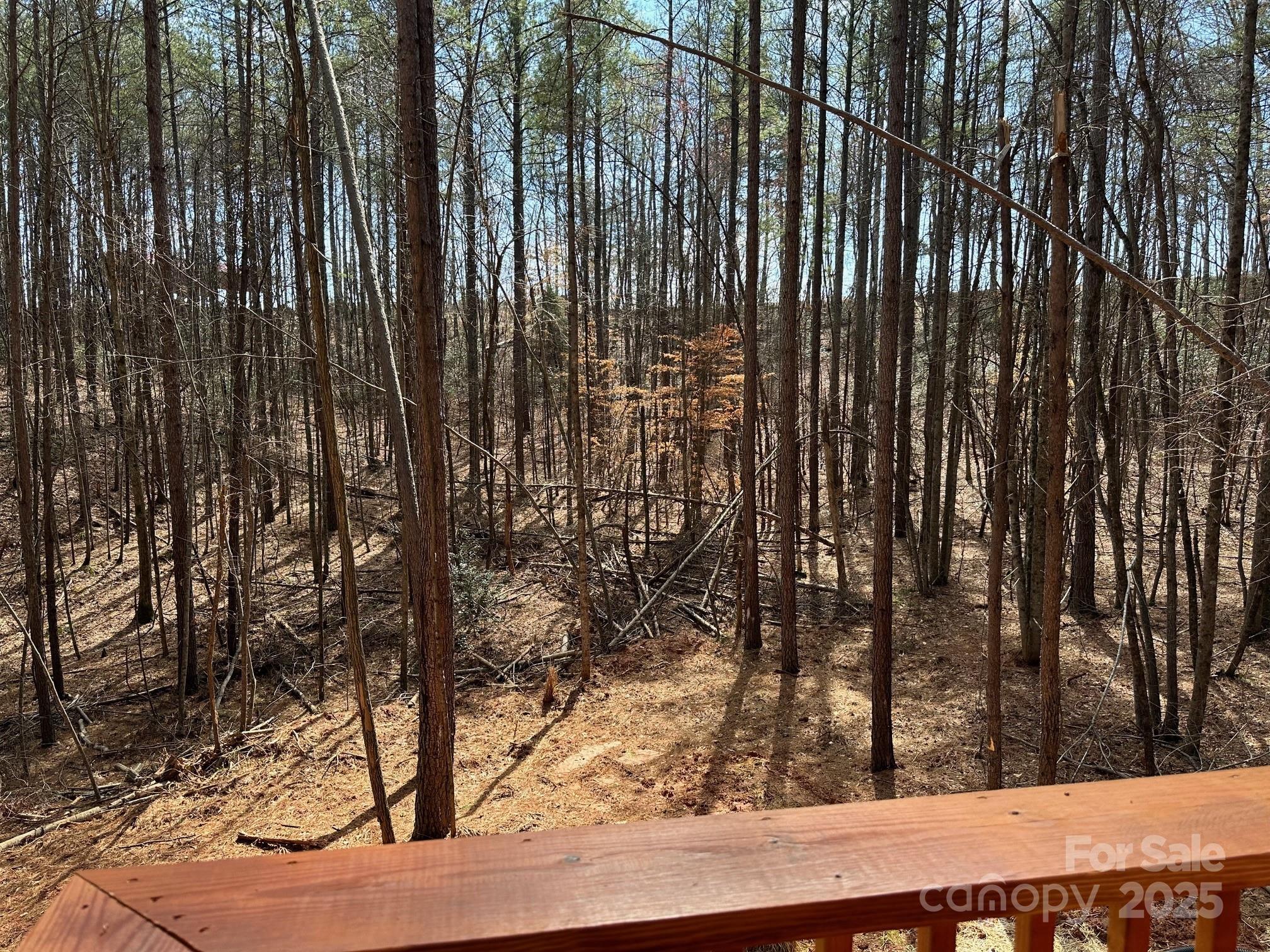 132 Chasewood Drive Rutherfordton NC 28139