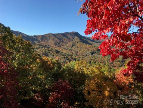 65 Timber Park Drive Black Mountain NC 28711