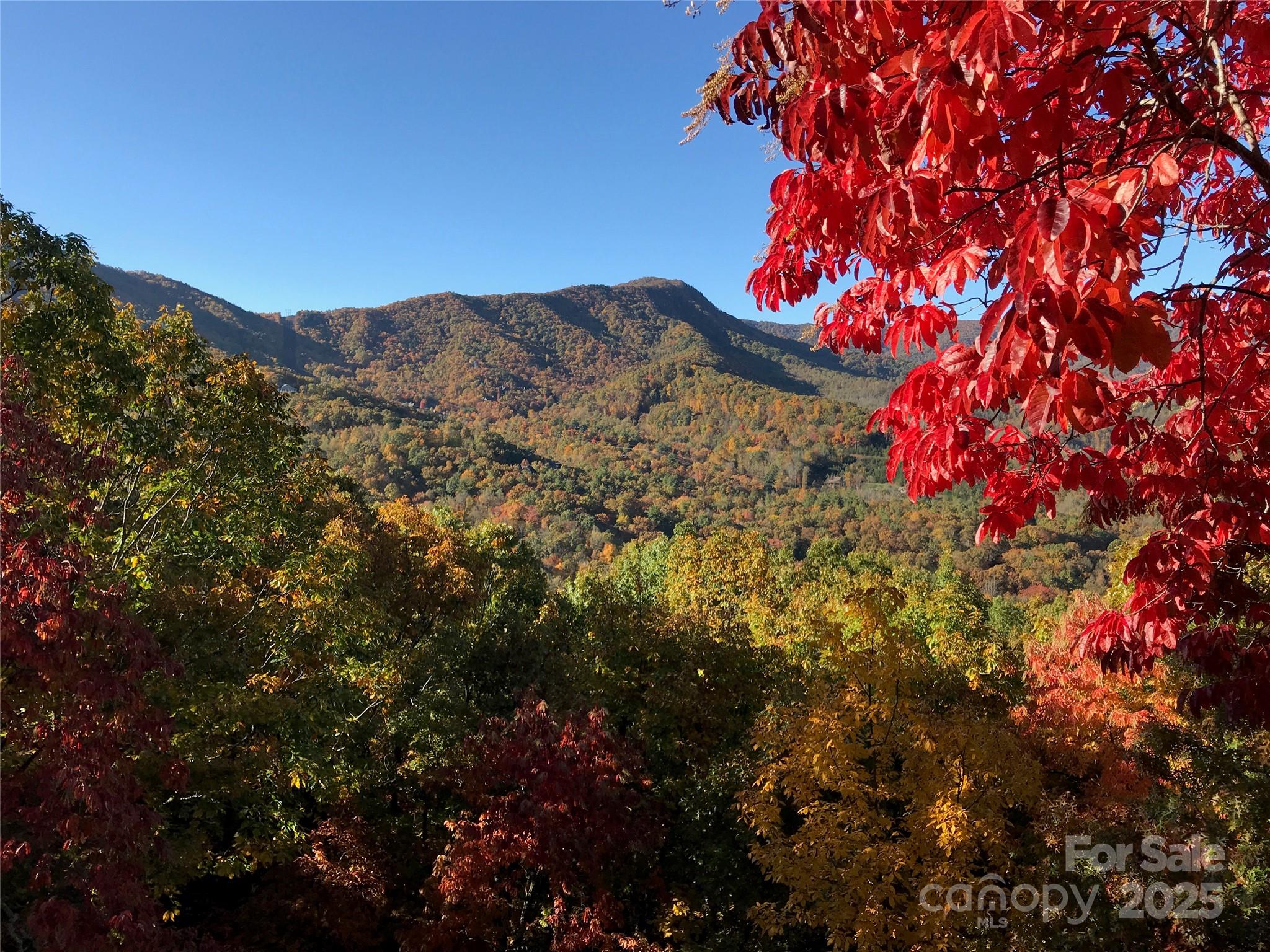 65 Timber Park Drive Black Mountain NC 28711