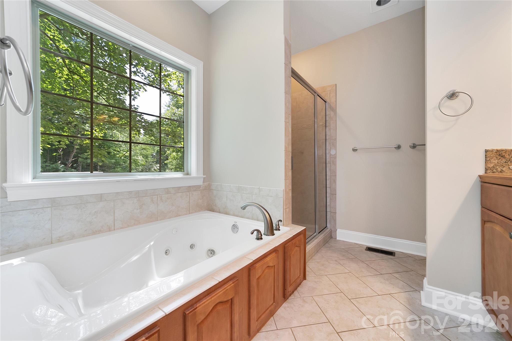 16 Uloque Court Brevard NC 28712