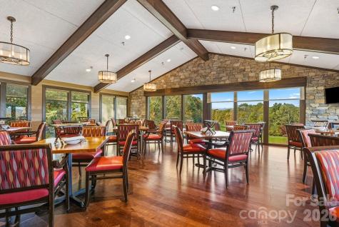 16 Uloque Court Brevard NC 28712