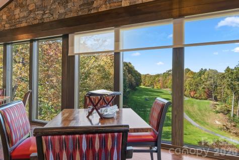 16 Uloque Court Brevard NC 28712