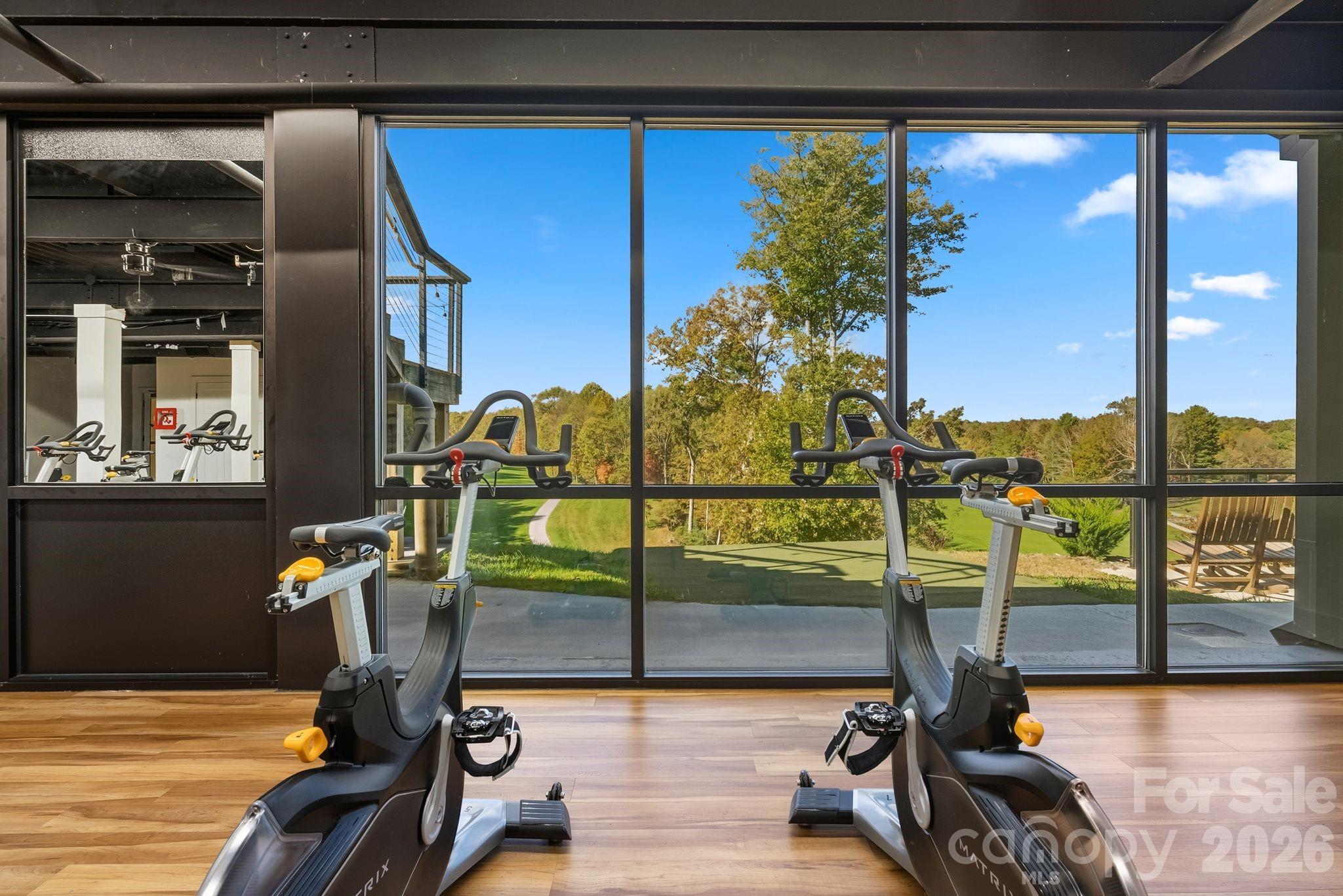 16 Uloque Court Brevard NC 28712