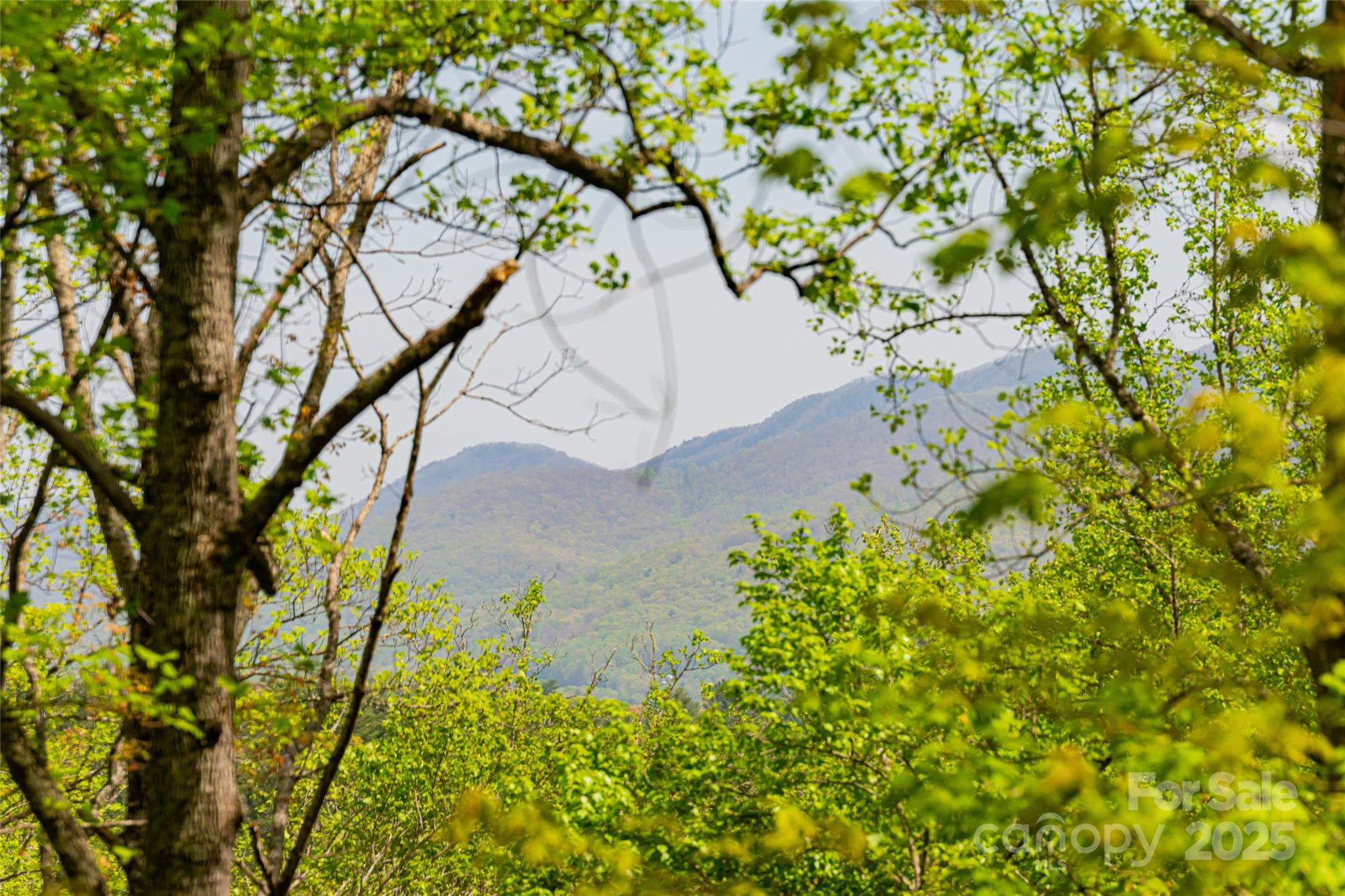 26 Hickory Top Lane Asheville NC 28805