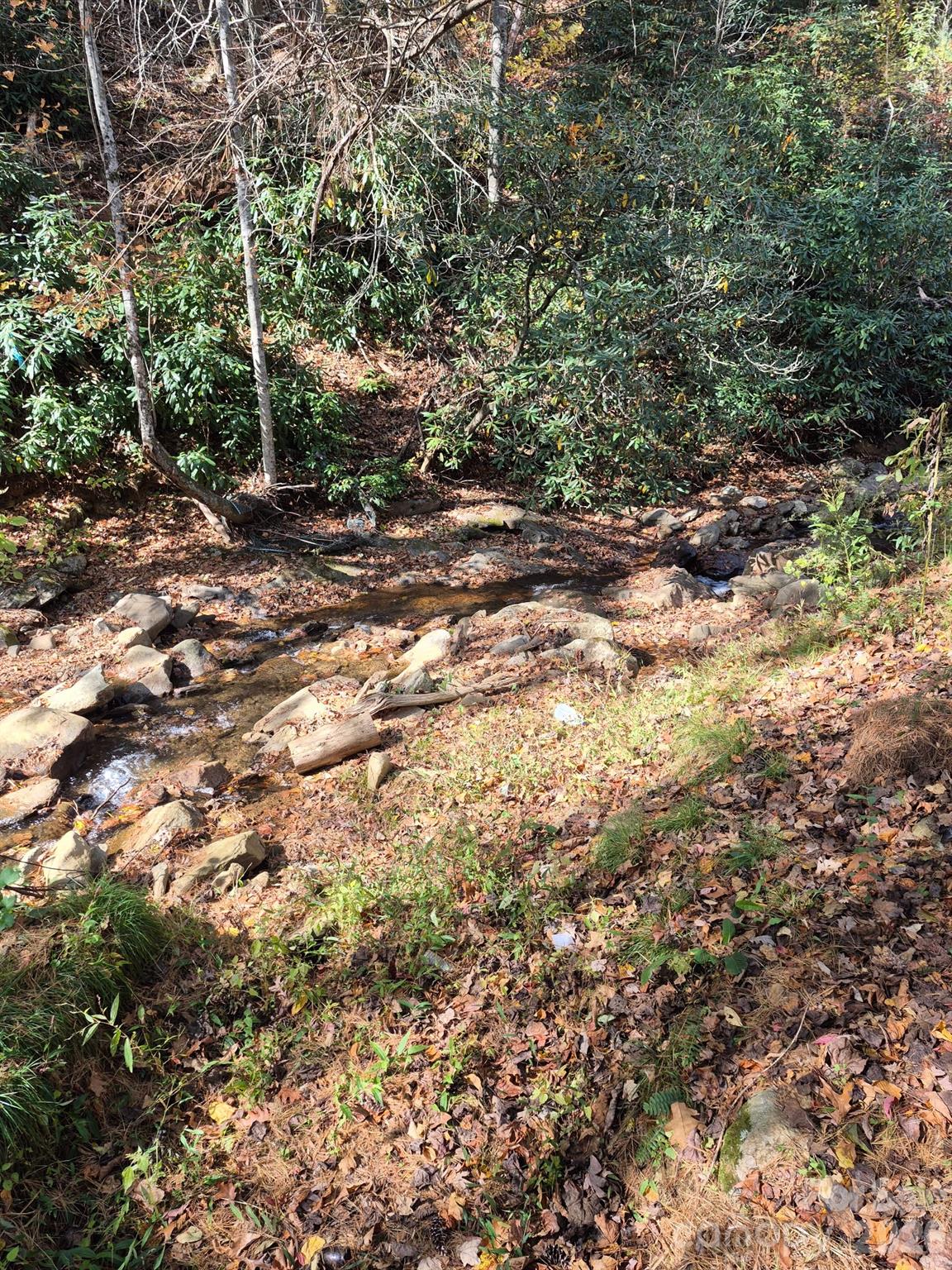 9 Smokey Cove Road Canton NC 28716