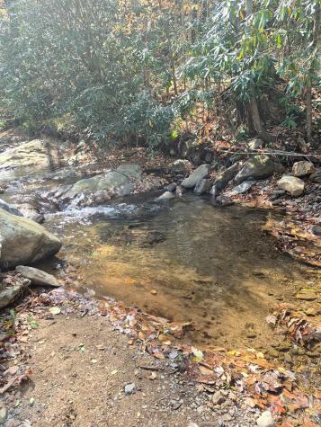 9 Smokey Cove Road Canton NC 28716