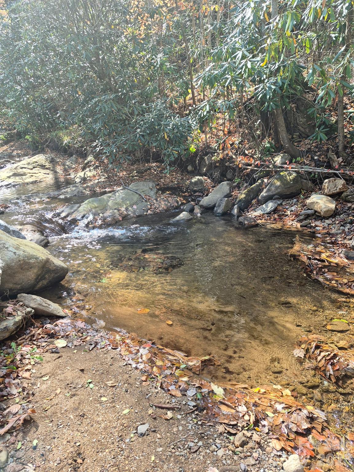 9 Smokey Cove Road Canton NC 28716