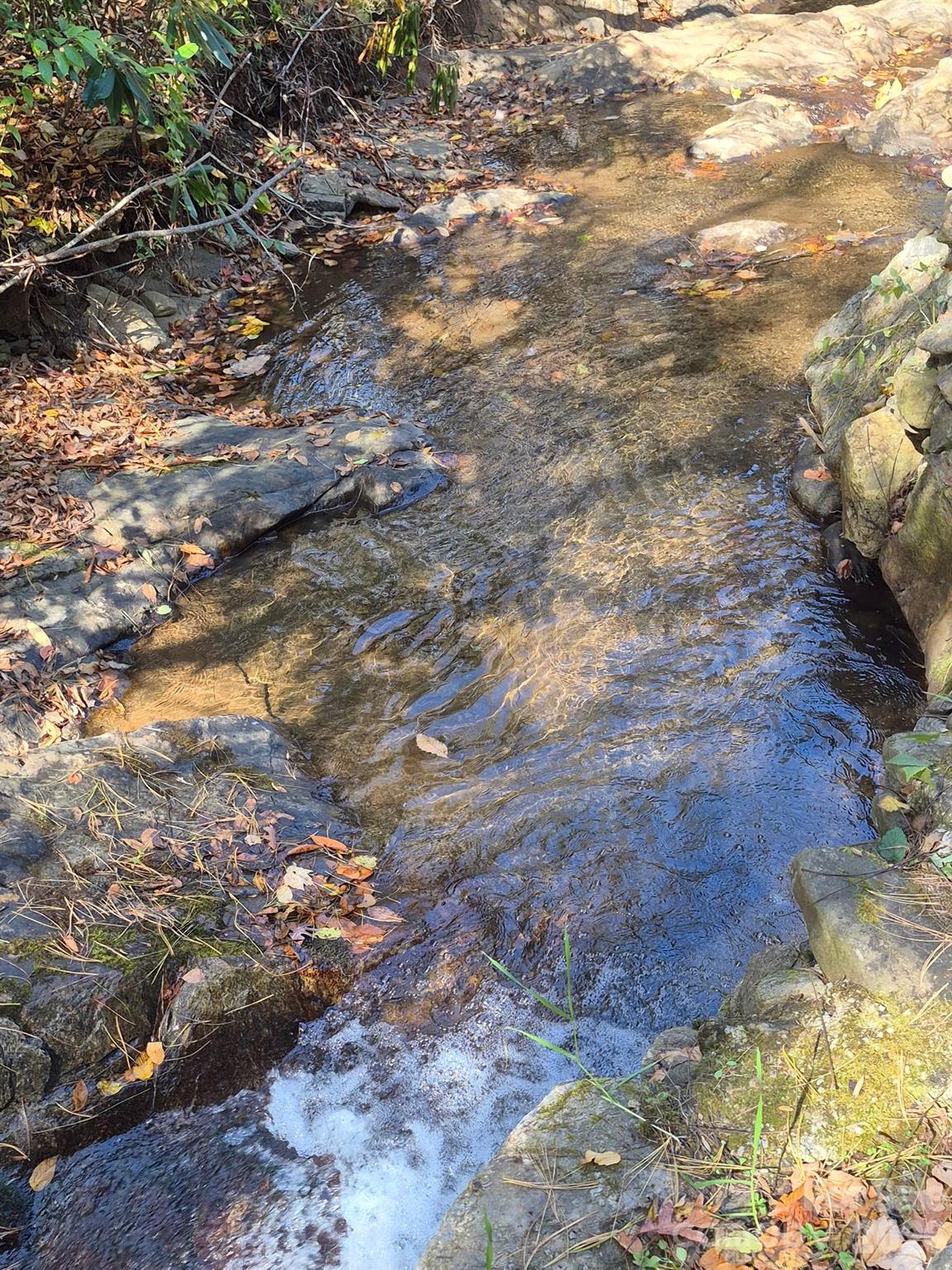 9 Smokey Cove Road Canton NC 28716