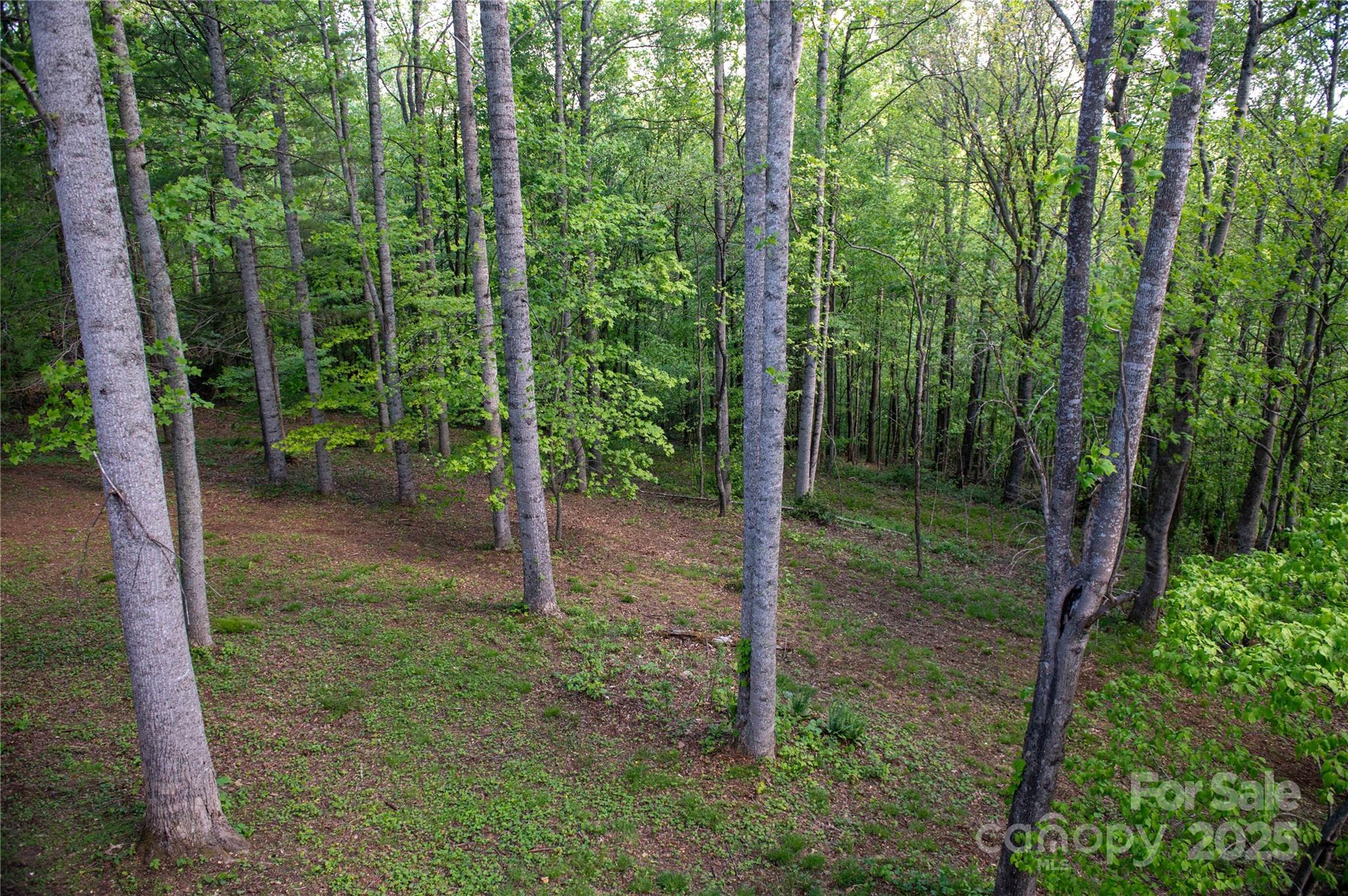 120 Powderhorn Drive Burnsville NC 28714