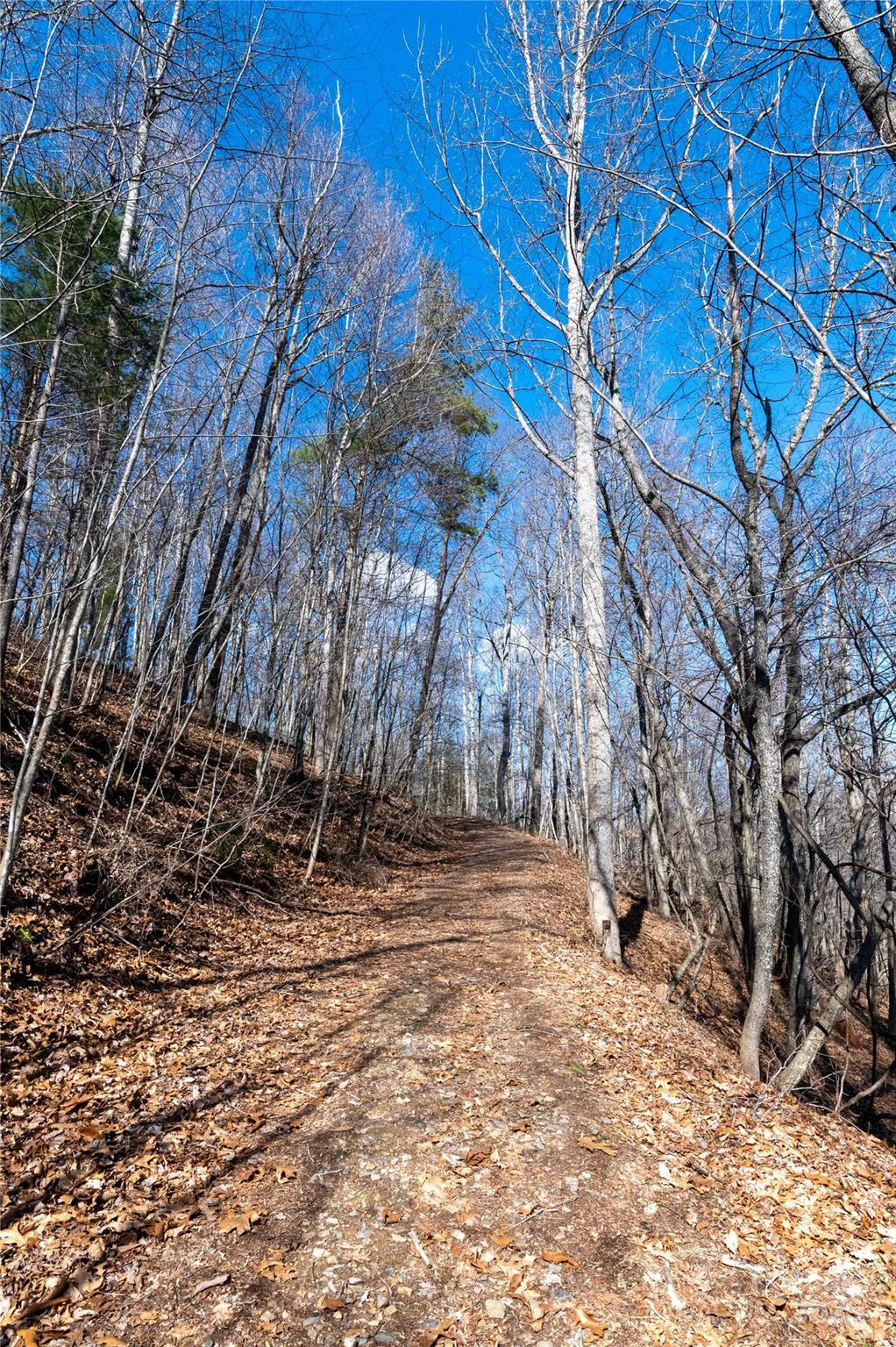 120 Powderhorn Drive Burnsville NC 28714