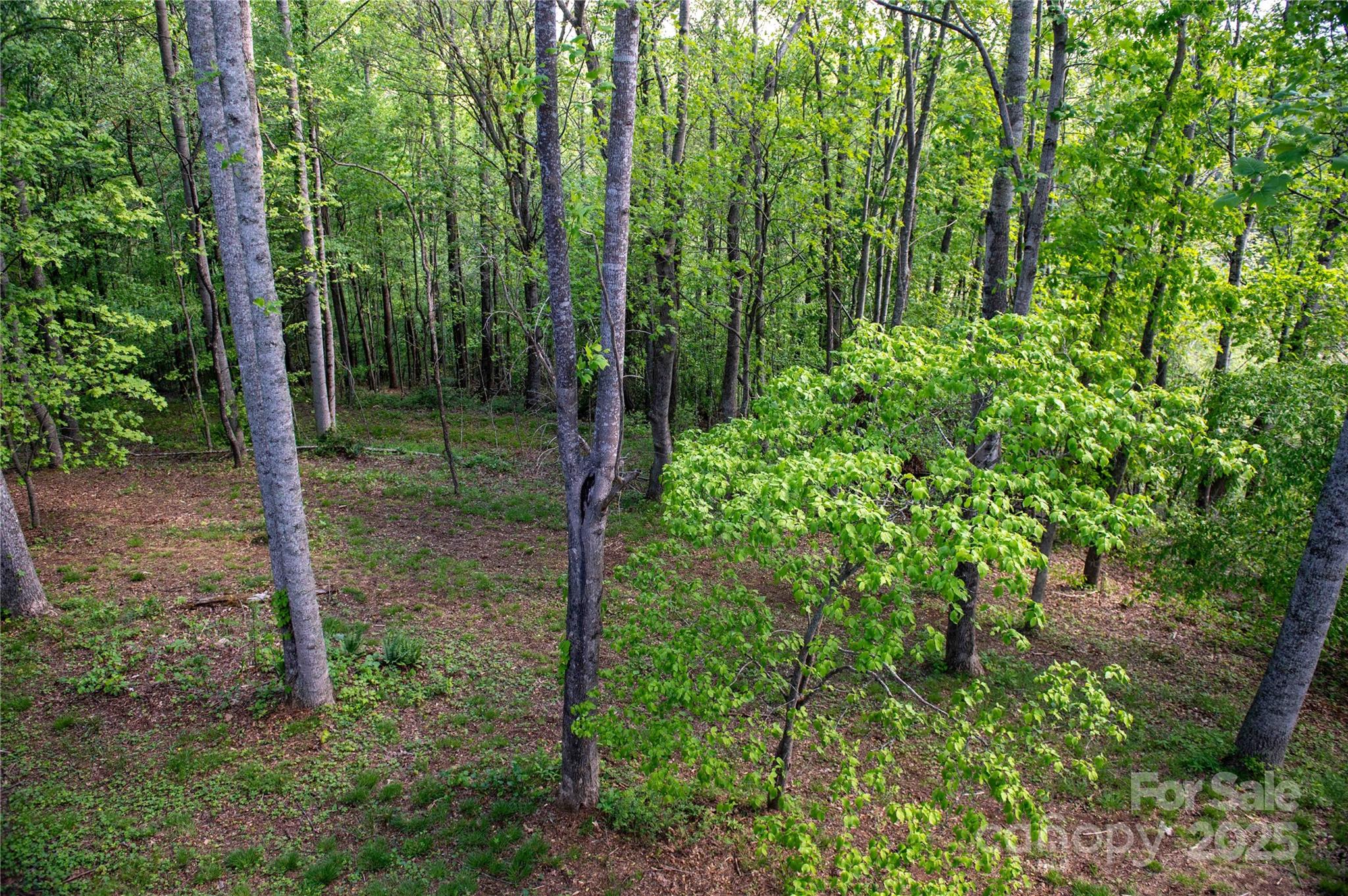 120 Powderhorn Drive Burnsville NC 28714