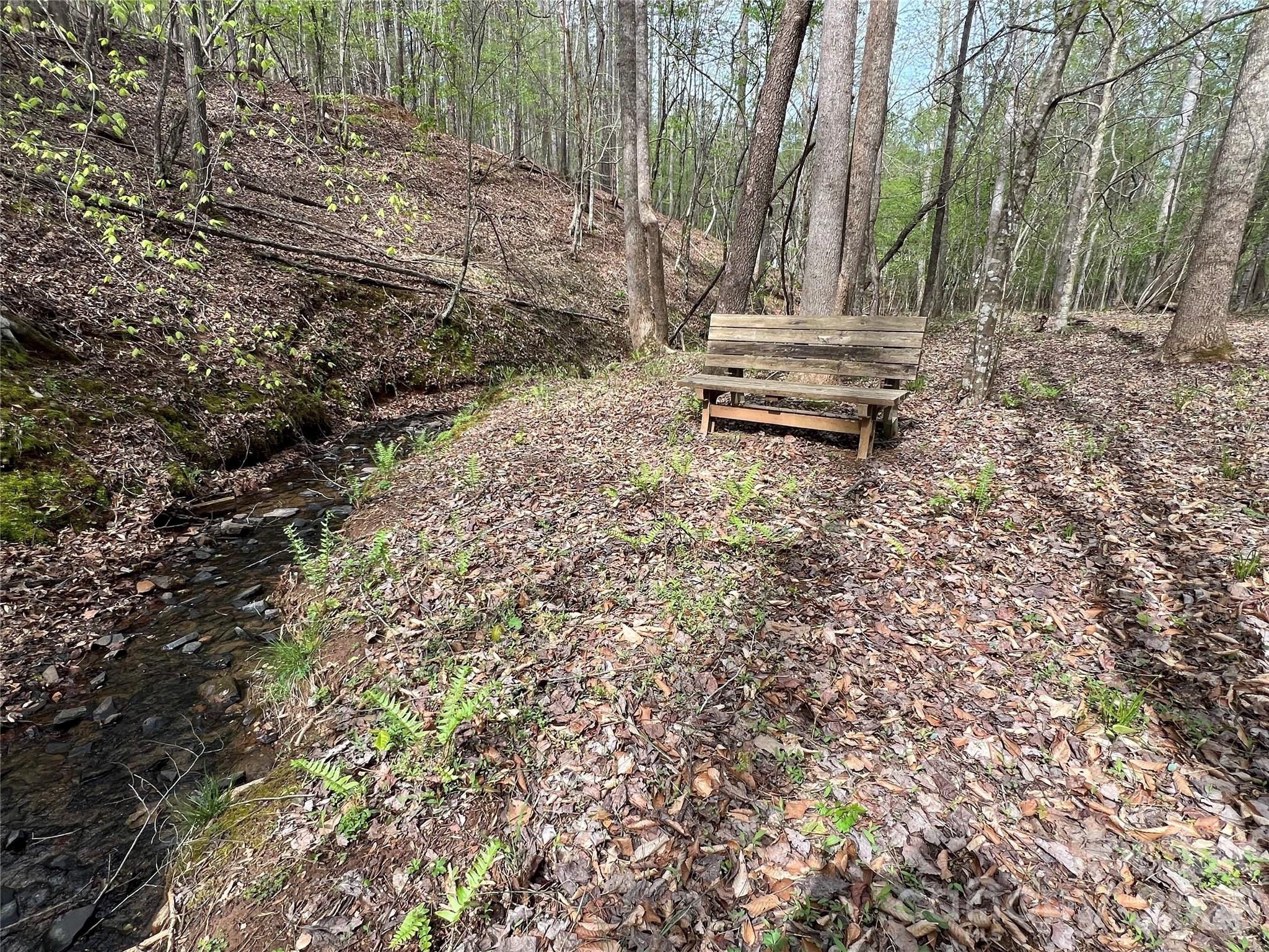 391 Clearwater Parkway Rutherfordton NC 28139