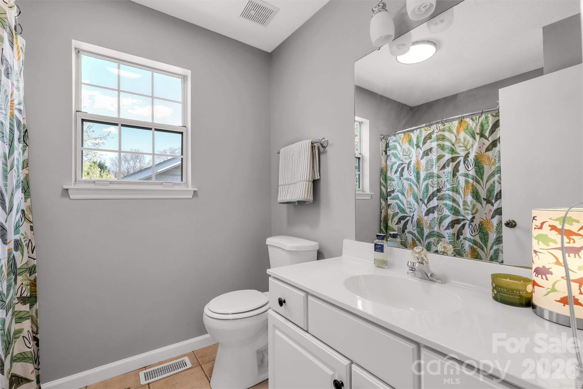 13213 Lampmeade Lane Charlotte NC 28273