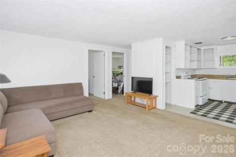 51 & 59 Gudger Road Candler NC 28715