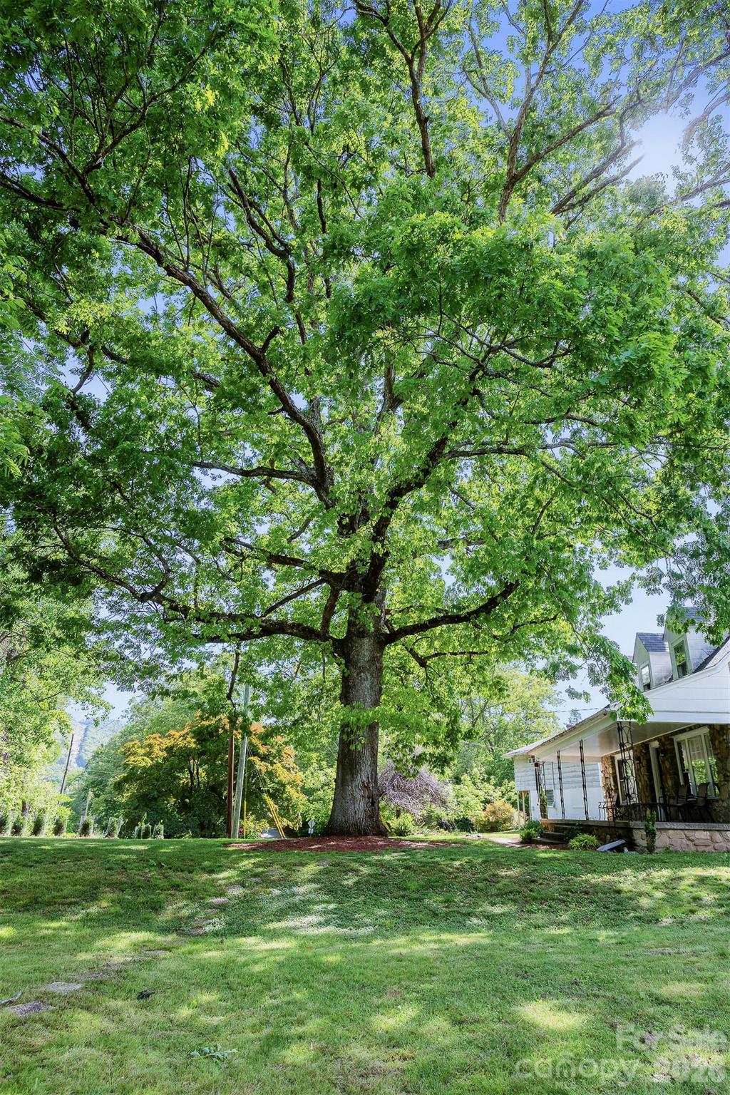 51 & 59 Gudger Road Candler NC 28715