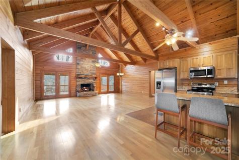 42 Tsitsi Court Brevard NC 28712