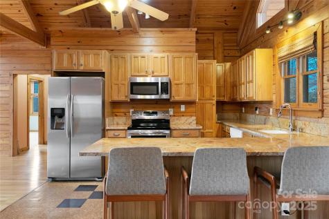 42 Tsitsi Court Brevard NC 28712
