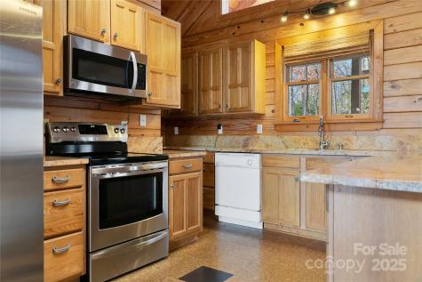 42 Tsitsi Court Brevard NC 28712