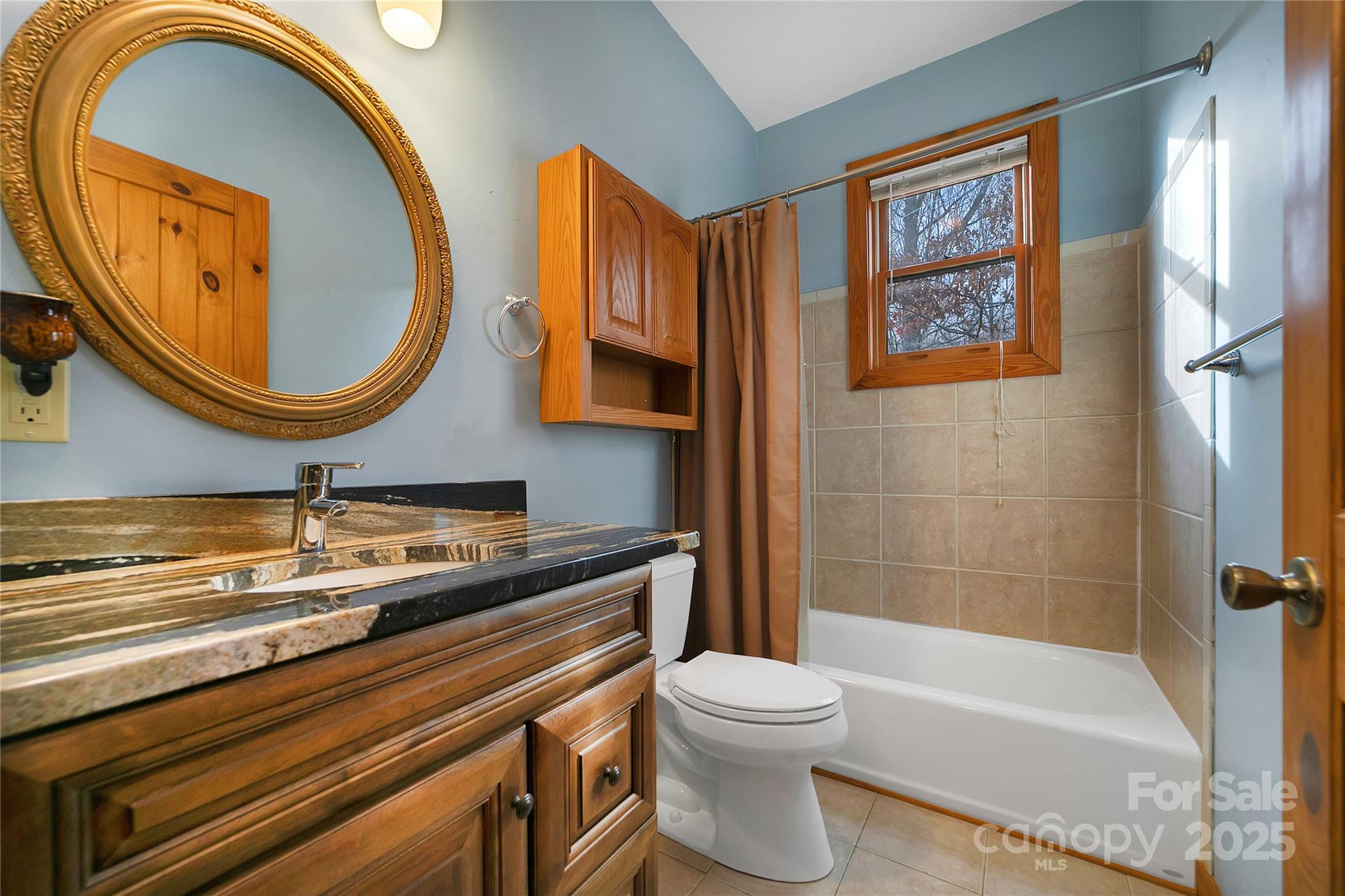 42 Tsitsi Court Brevard NC 28712
