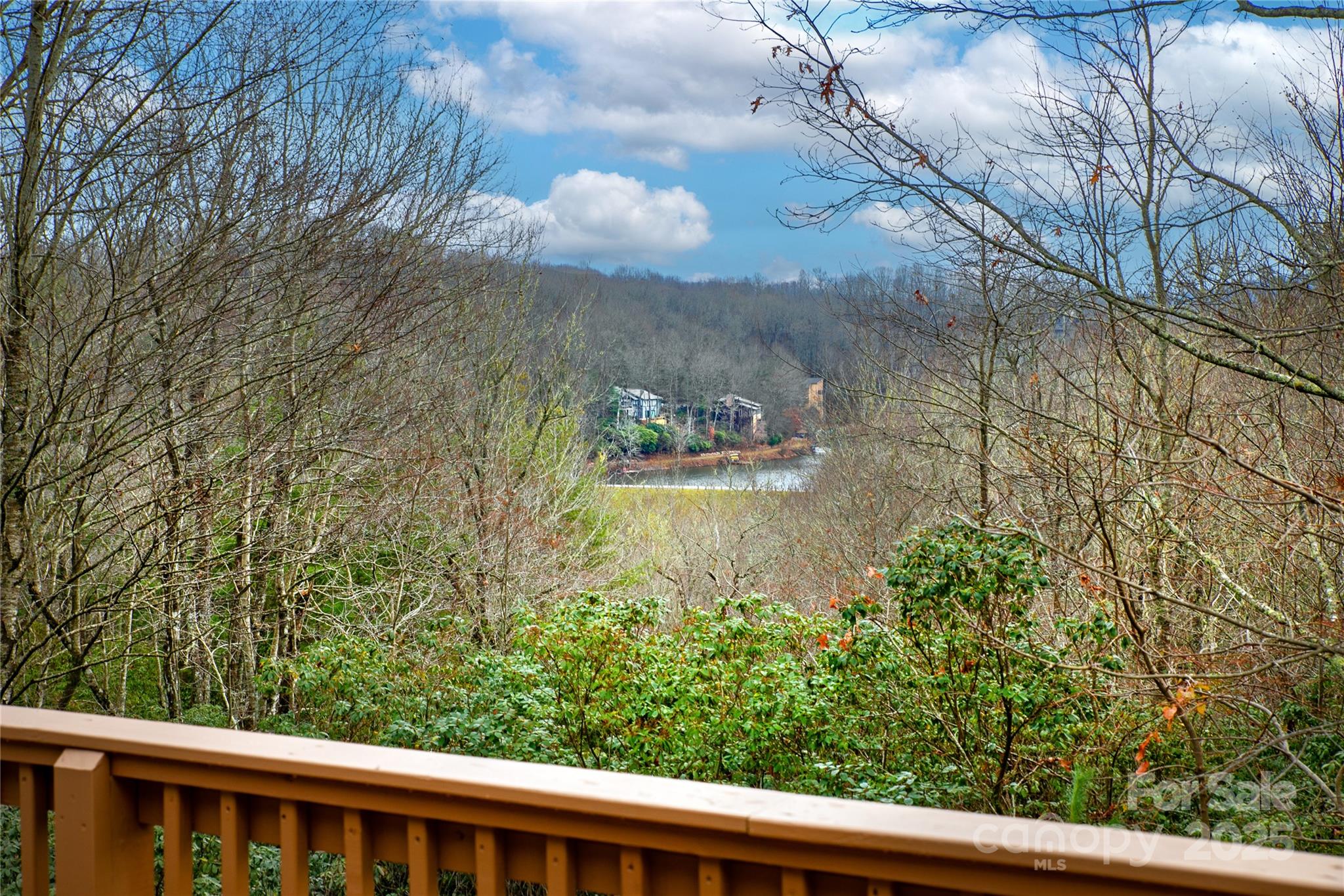 42 Tsitsi Court Brevard NC 28712
