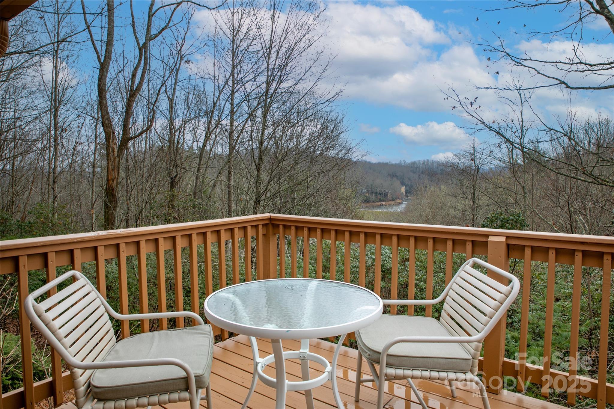 42 Tsitsi Court Brevard NC 28712