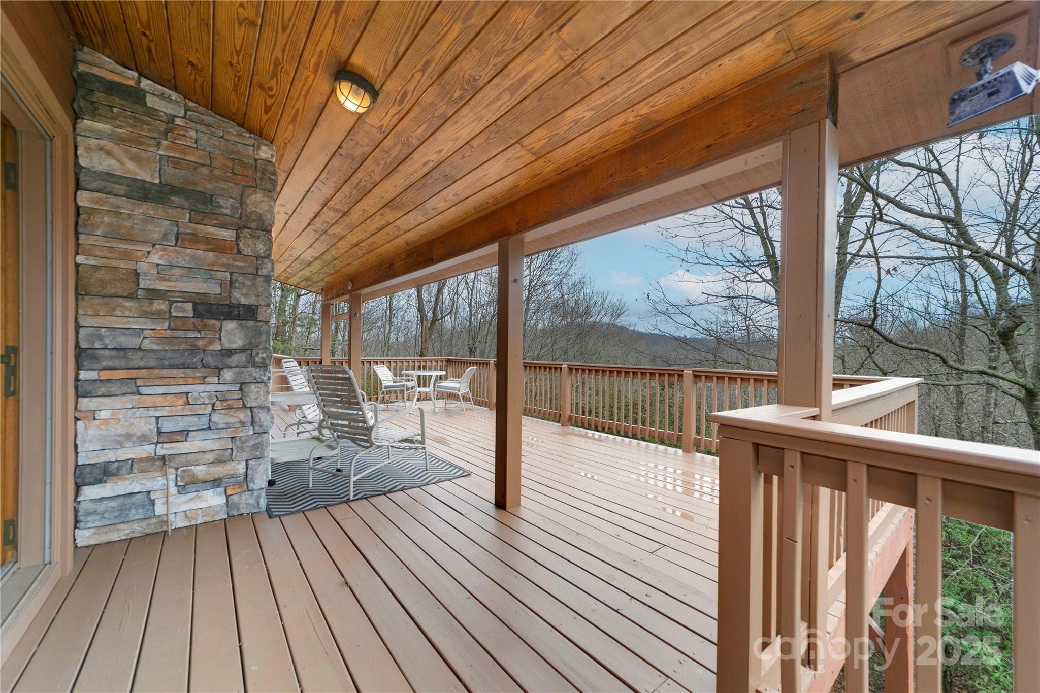 42 Tsitsi Court Brevard NC 28712