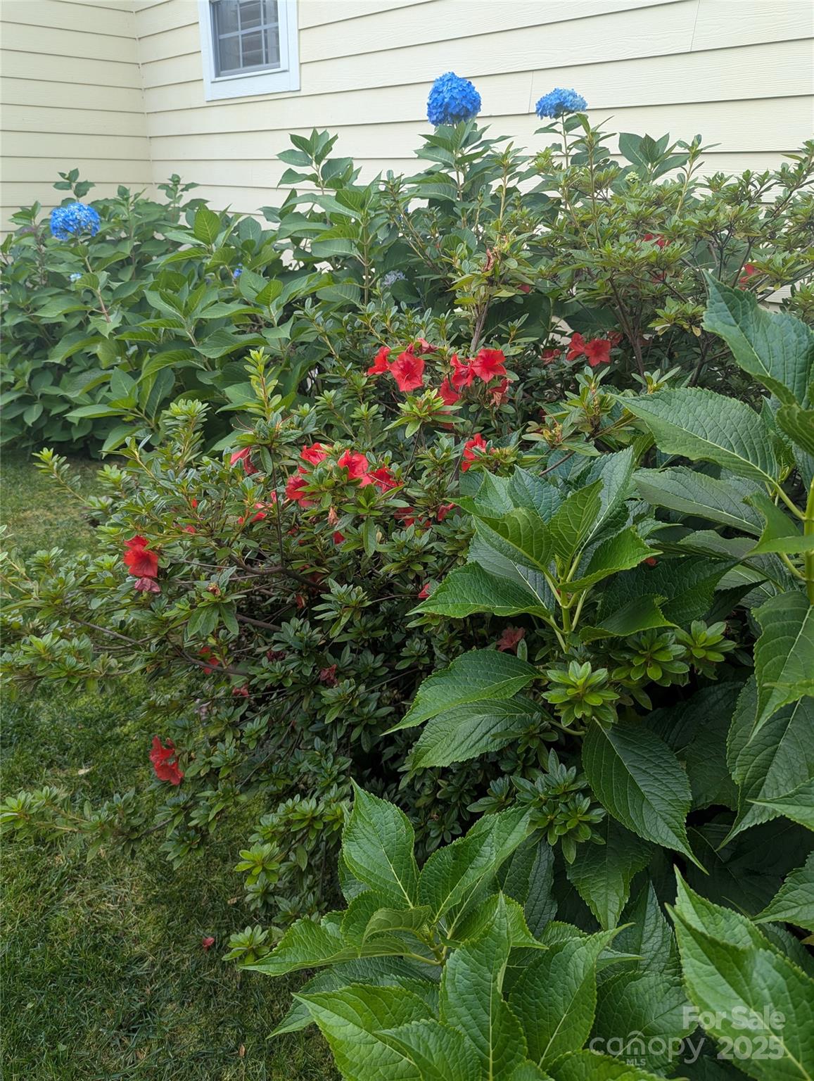 10 Cotton Creek Circle Black Mountain NC 28711