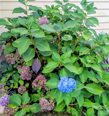 10 Cotton Creek Circle Black Mountain NC 28711