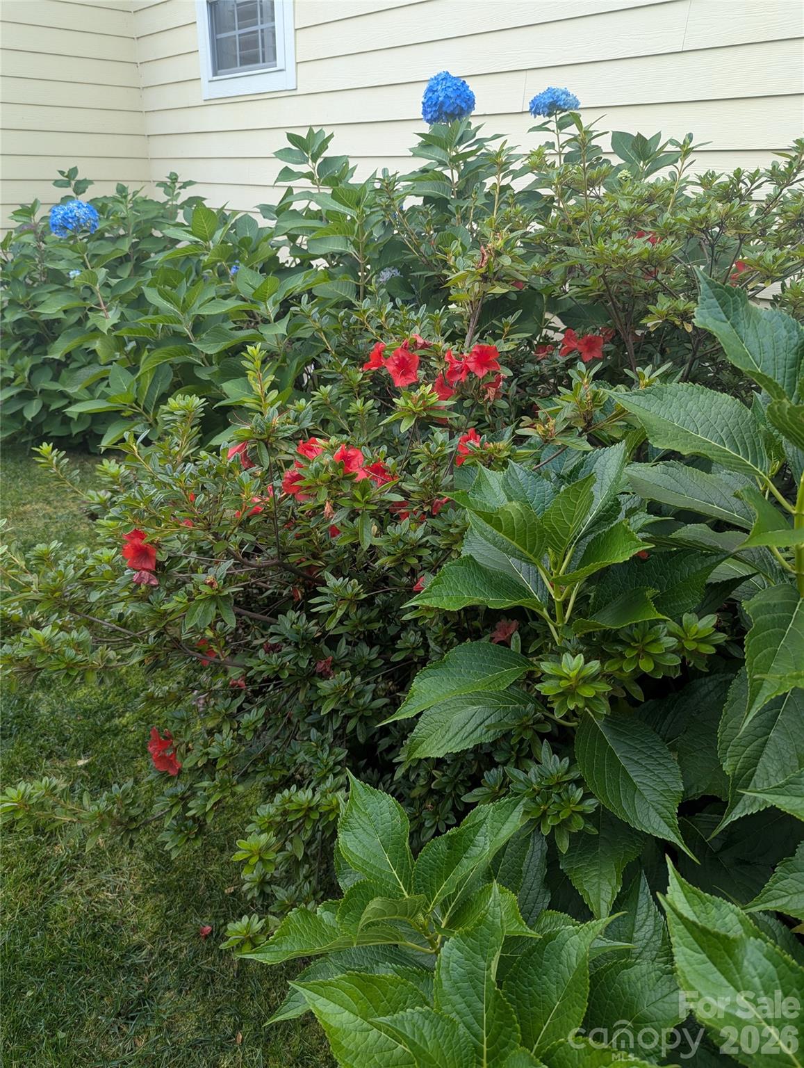 10 Cotton Creek Circle Black Mountain NC 28711