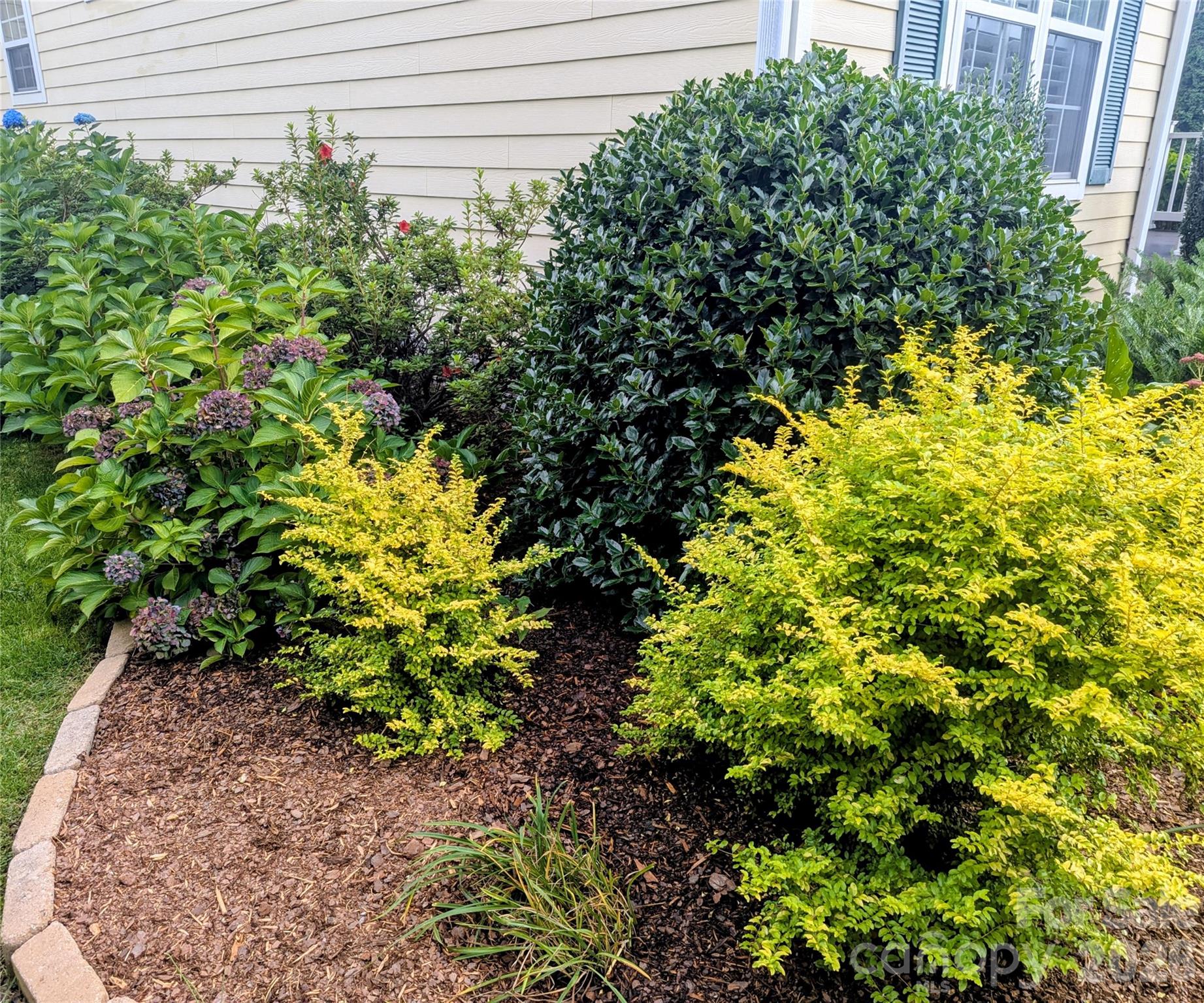 10 Cotton Creek Circle Black Mountain NC 28711