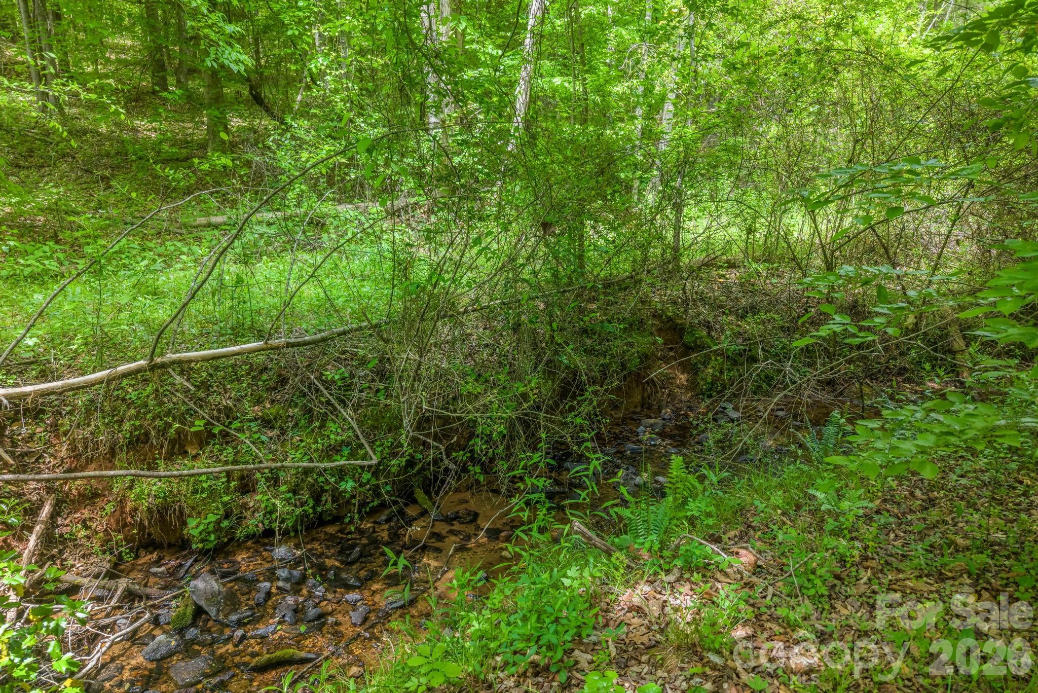 288 Maypole Court Forest City NC 28043