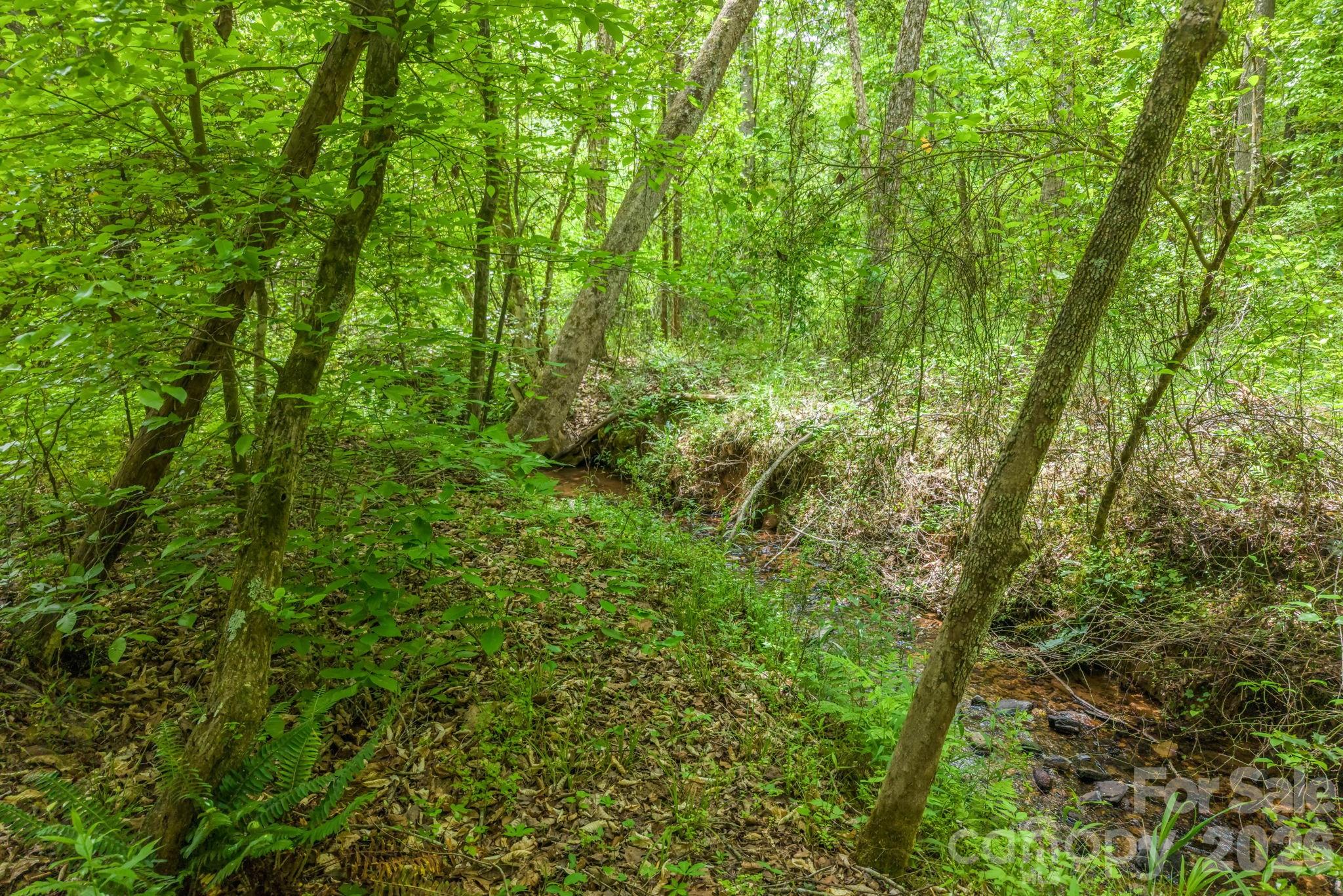 288 Maypole Court Forest City NC 28043