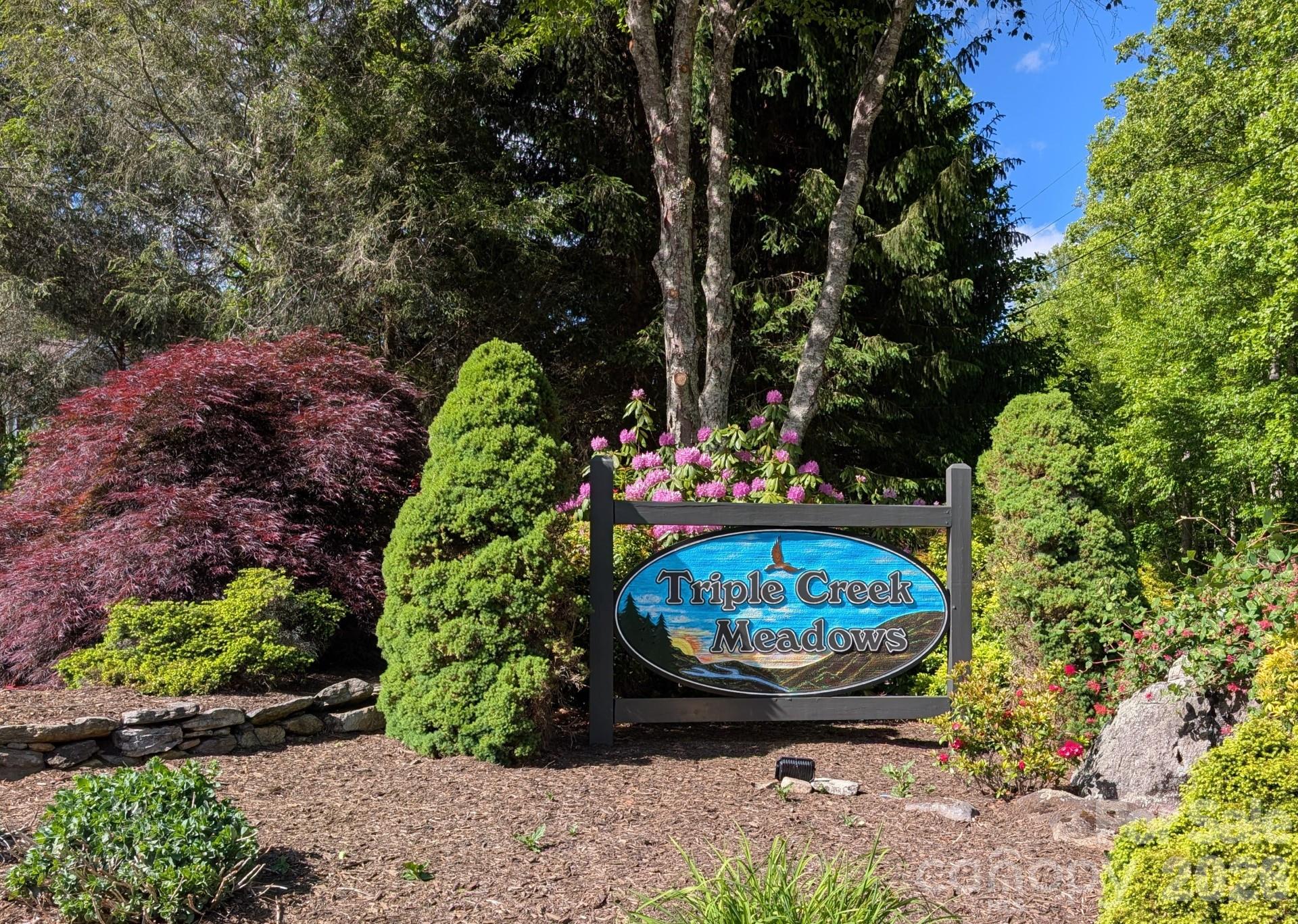 96 Buckeye Branch Drive Clyde NC 28721