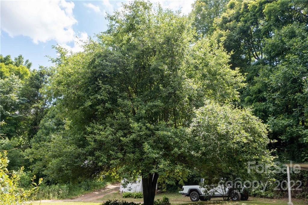 92 Violet Lane Newland NC 28657
