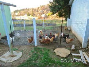 4048 Newfound Road Canton NC 28716