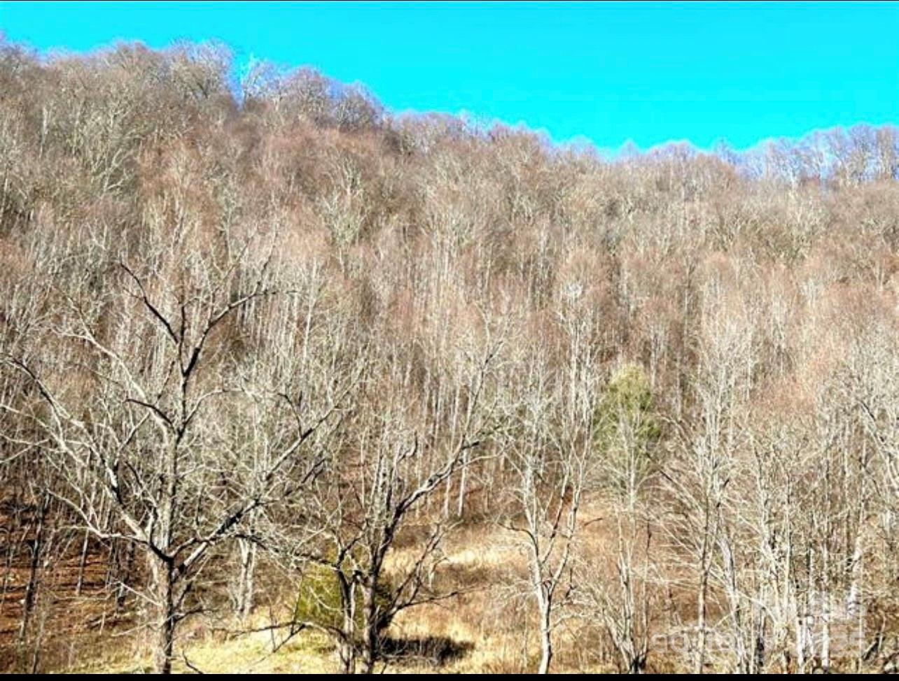 108 Lanning Road Clyde NC 28721