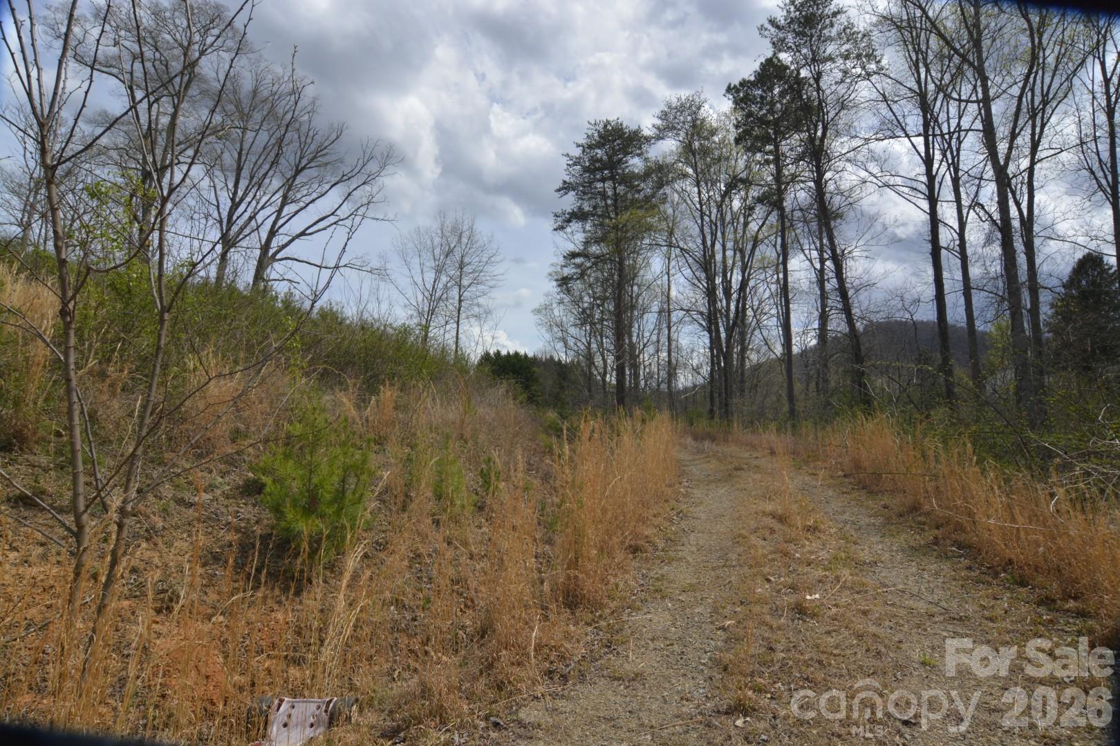 535 Old Newfound Road Leicester NC 28748